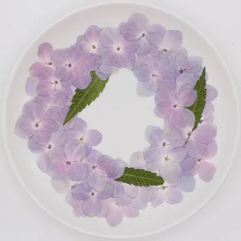 120pcs Džiovintų Presuotų Gamtos Rožinė-Violetinė Hydrangea Gėlių, Augalų Herbariumas Papuošalai Žymą Telefono dėklas užrašų knygelė 